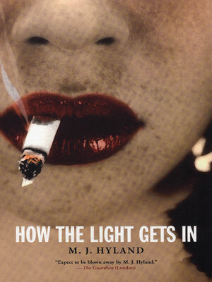 How the Light Gets In - ebook